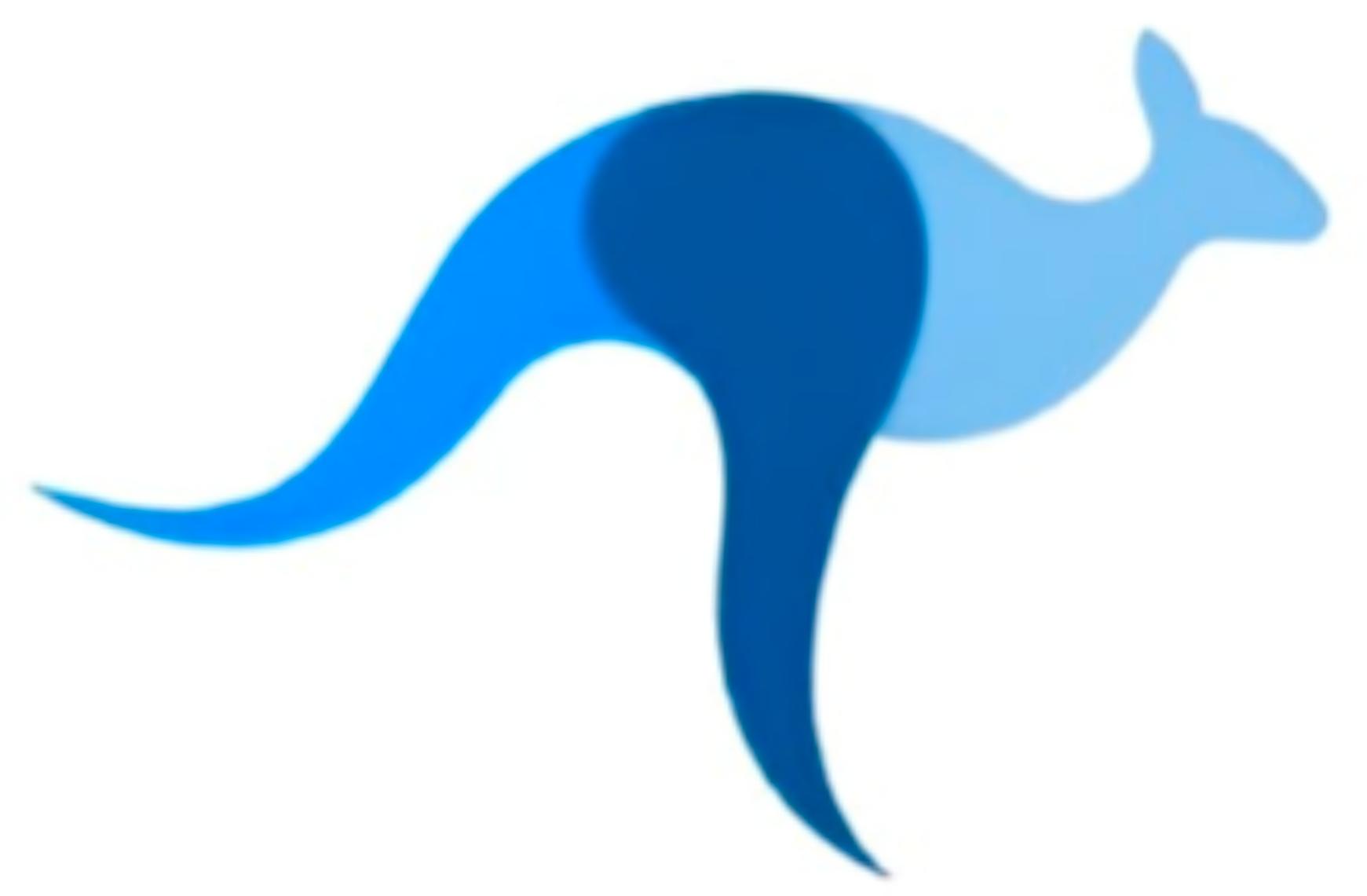 Markaroo — Leap to Success